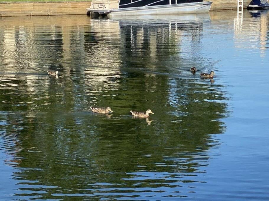 Lakeside Daze! Montgomery Dış mekan fotoğraf