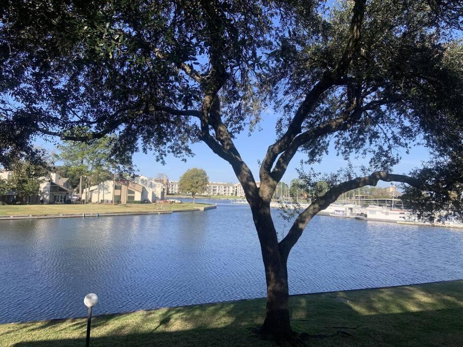Lakeside Daze! Montgomery Dış mekan fotoğraf